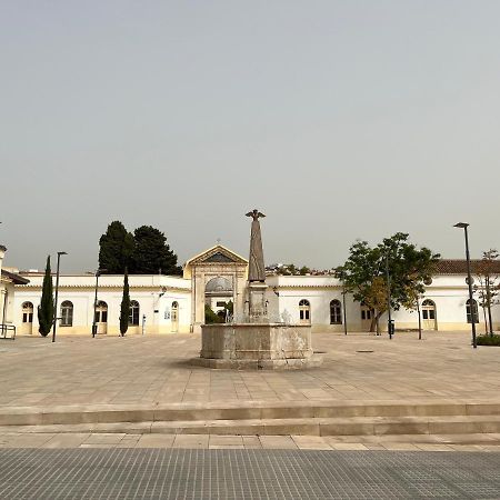 Beautiful Brand New 2 Bedroom Flat With Terrace Malaga Bagian luar foto